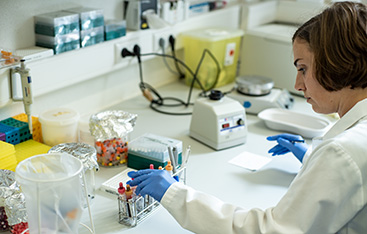 Lab Work at Asklepios Biobank