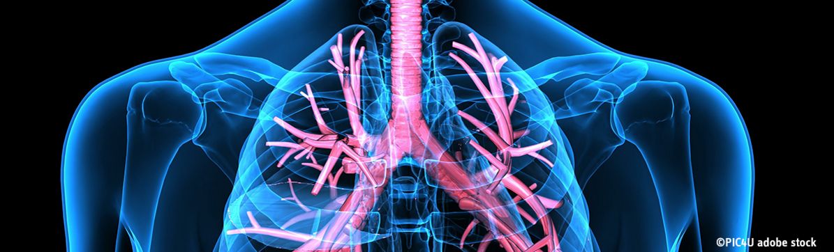 Lungs in Focus - Read more about the lung - its functions, its diseases